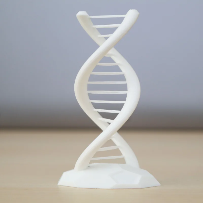 DNA Xoắn Kép - Thử Thách Cầu Nối
