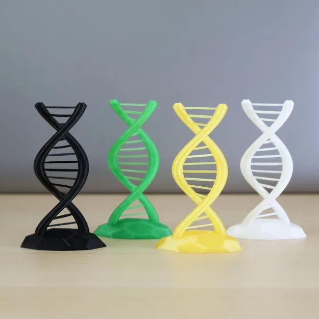 DNA Xoắn Kép - Thử Thách Cầu Nối - Image 2