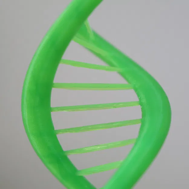 DNA Xoắn Kép - Thử Thách Cầu Nối - Image 3