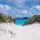 ShawnaFreebo_2420226
