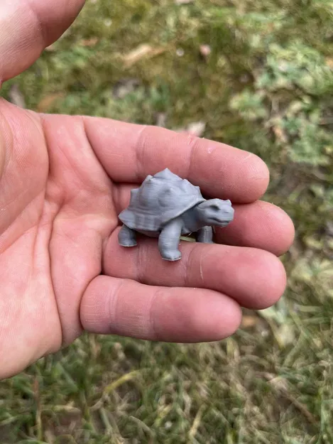 Rùa cạn, Land turtle, želva - Image 2