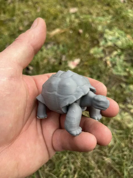 Rùa cạn, Land turtle, želva - Image 4