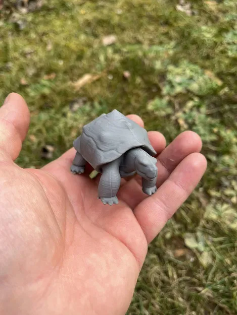 Rùa cạn, Land turtle, želva - Image 5