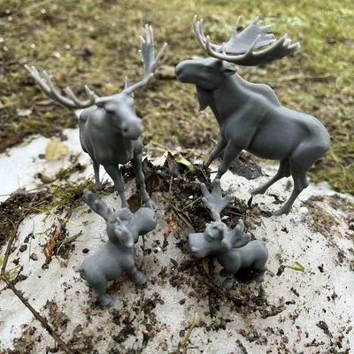 Gia đình Nai sừng tấm Bắc Cực Dễ Thương