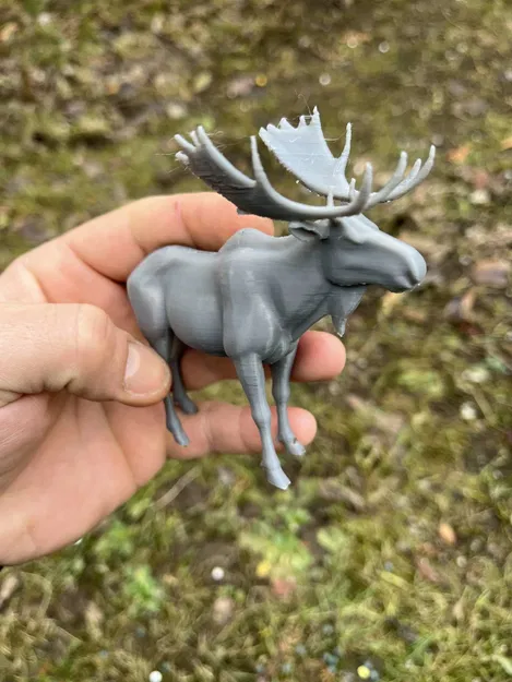 Gia đình Nai sừng tấm Bắc Cực Dễ Thương - Image 3