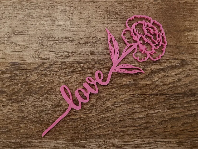 Hoa Cẩm Chướng Valentine Tình Yêu - Image 1