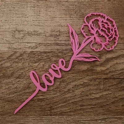 Hoa Cẩm Chướng Valentine Tình Yêu