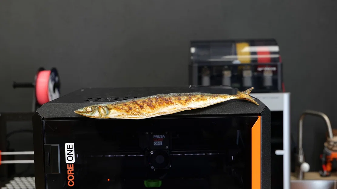 Cá CORE One (Với Chất Liệu Màu) - Image 1