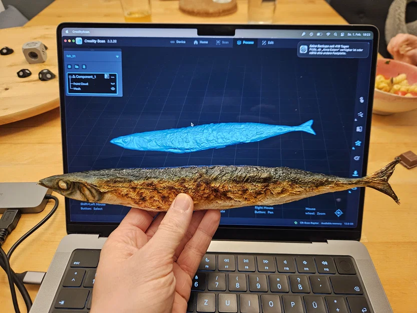 Cá CORE One (Với Chất Liệu Màu) - Image 2