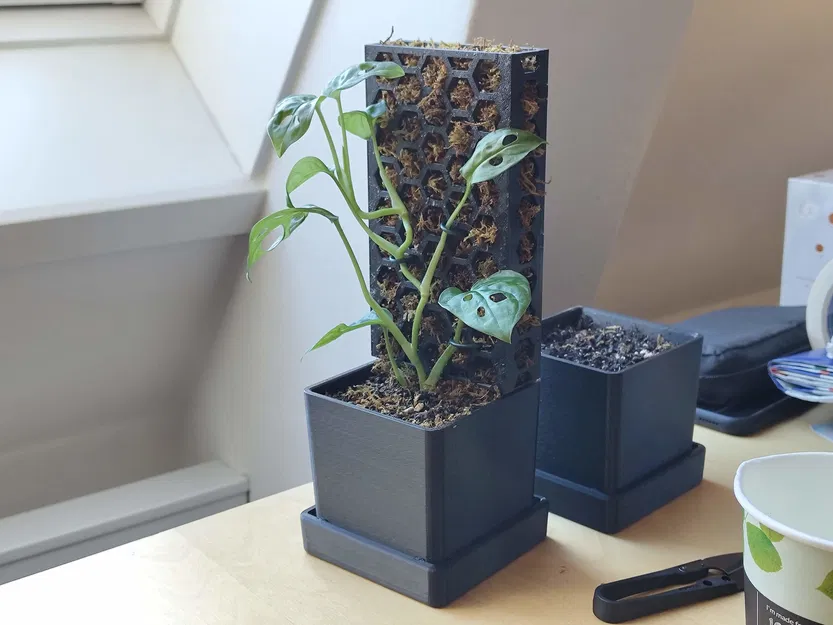 Chậu Cây Ghép Module Kèm Trụ Rêu - Image 1