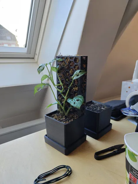 Chậu Cây Ghép Module Kèm Trụ Rêu - Image 2