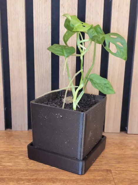 Chậu Cây Ghép Module Kèm Trụ Rêu - Image 3