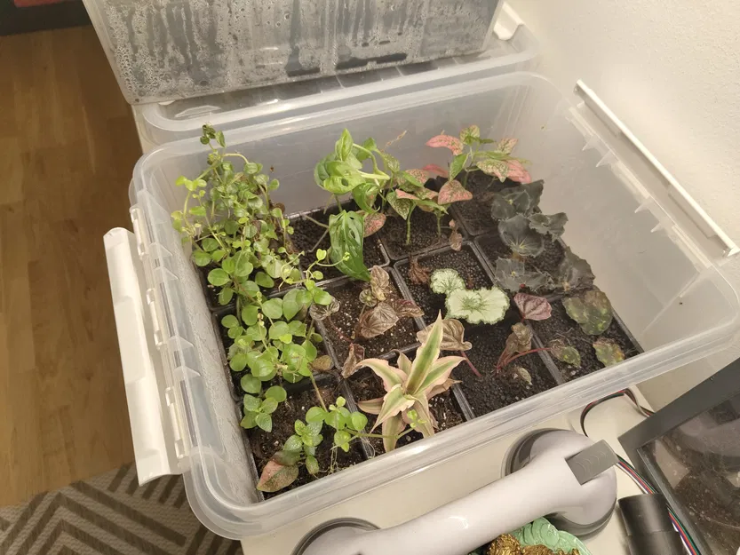 Chậu Cây Ghép Module Kèm Trụ Rêu - Image 4