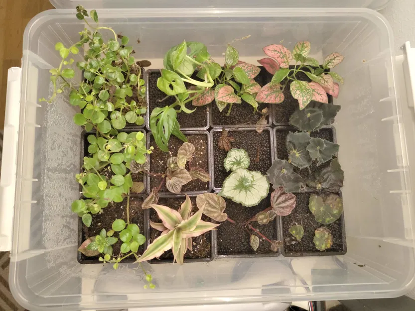 Chậu Cây Ghép Module Kèm Trụ Rêu - Image 5