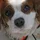 ChrisSkinner_811299