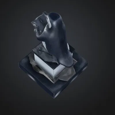 Chim Cánh Cụt Đọc Sách