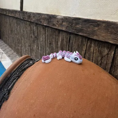 Rồng Con Ngày Valentine