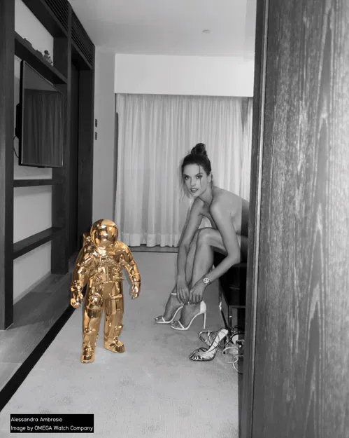 Phi Hành Gia Apollo (Bản Gốc) - Image 5