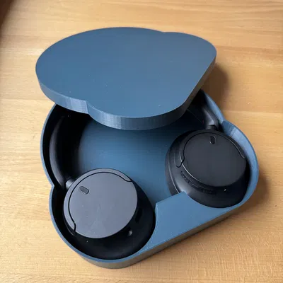 Vỏ Case Dành Cho Tai Nghe Không Dây Sony WH-CH720N