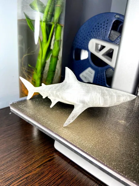 Mô Hình 3D Cá Mập - Image 1