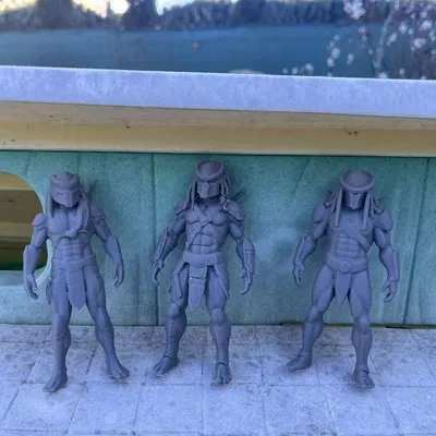 Mô hình Hunters Predators