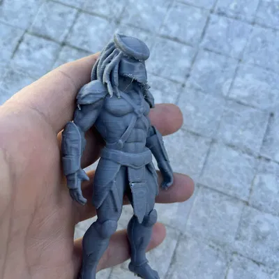 Mô hình Hunters Predators