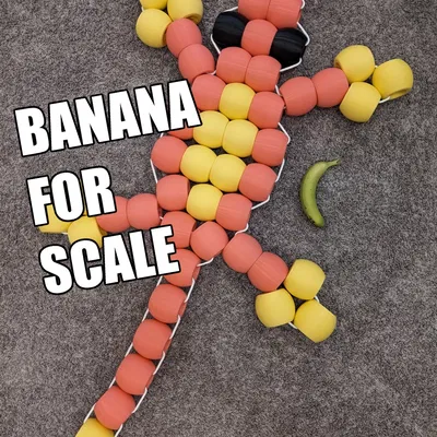 Hạt Khổng Lồ Cho Động Vật Hạt Khổng Lồ