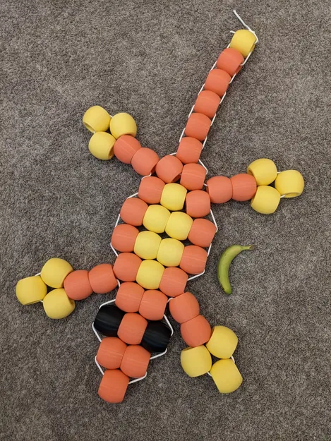 Hạt Khổng Lồ Cho Động Vật Hạt Khổng Lồ - Image 2