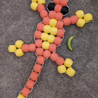 Hạt Khổng Lồ Cho Động Vật Hạt Khổng Lồ