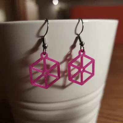 Bông tai lục giác (Hexagonal earrings)