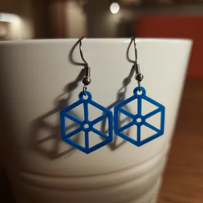 Bông tai lục giác (Hexagonal earrings)