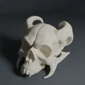 Bộ Sưu Tập AI Skull - Skull 3 - Thumbnail 1