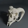 Bộ Sưu Tập AI Skull - Skull 1 - Thumbnail 1