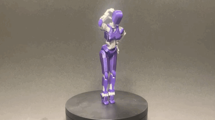 Dummy 13 - Vẻ đẹp cơ thể nữ