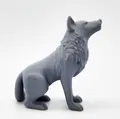 Sói Ngồi (Seated Wolf) - Thumbnail 6