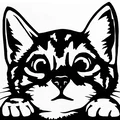 Mèo 2D (2D cat) - Thumbnail 1