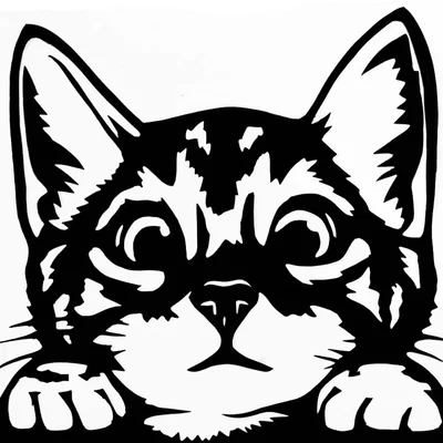 Mèo 2D (2D cat)
