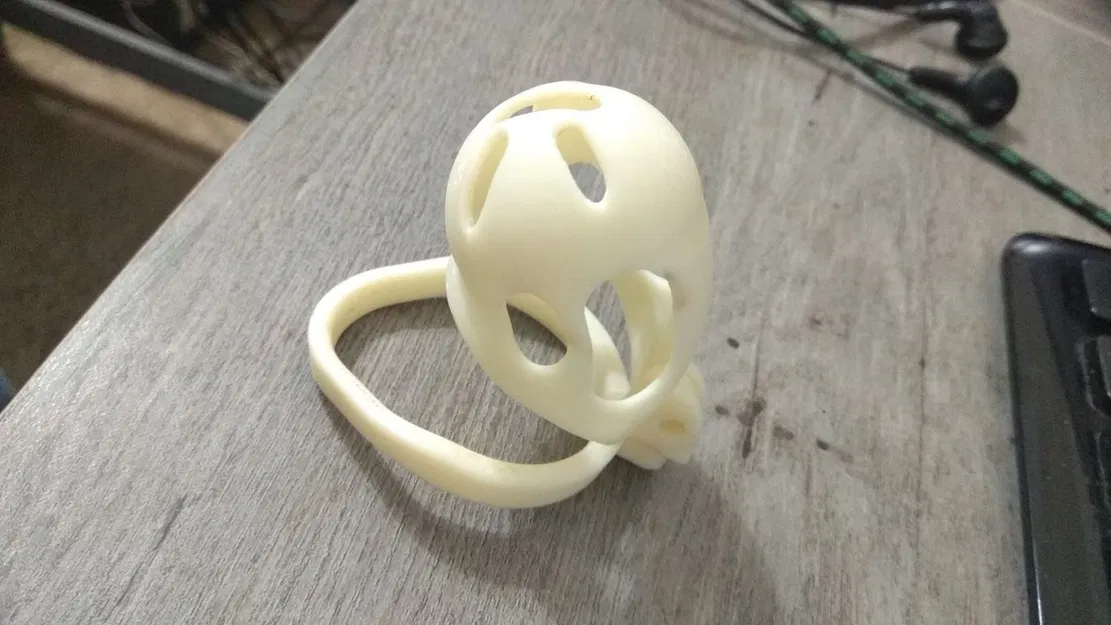 Two piece chastity cage (2 mảnh) dùng với padlock nhỏ - Image 1