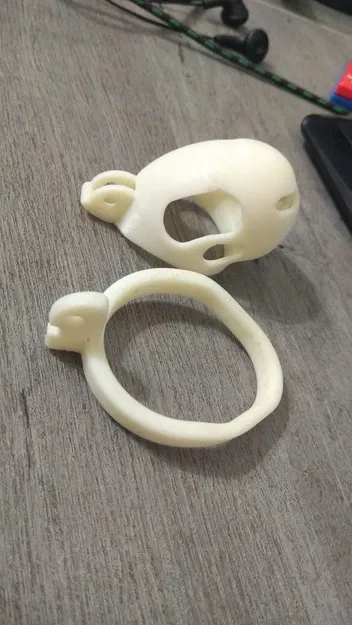 Two piece chastity cage (2 mảnh) dùng với padlock nhỏ - Image 4