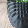 Planter - Thumbnail 3
