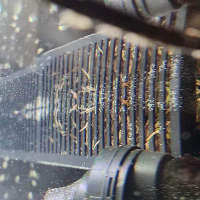 Chậu trồng cây cho hồ cá (Aquarium Planter)