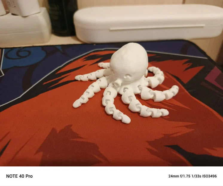 Octopus (Bạch tuộc) - Image 2