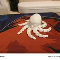 Octopus (Bạch tuộc) - Thumbnail 2