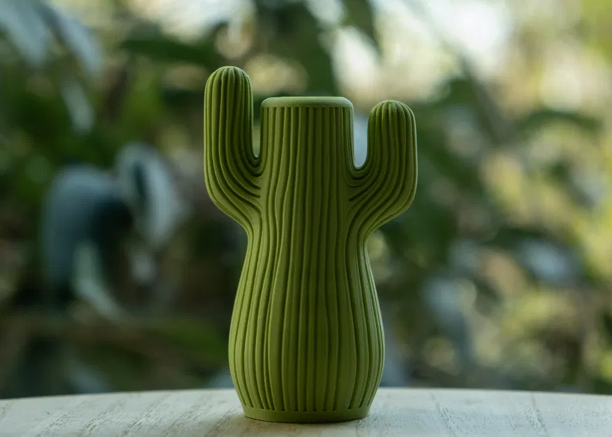 Bình Hoa Xương Rồng (Cactus Vase) - Image 1