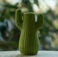Bình Hoa Xương Rồng (Cactus Vase) - Thumbnail 1