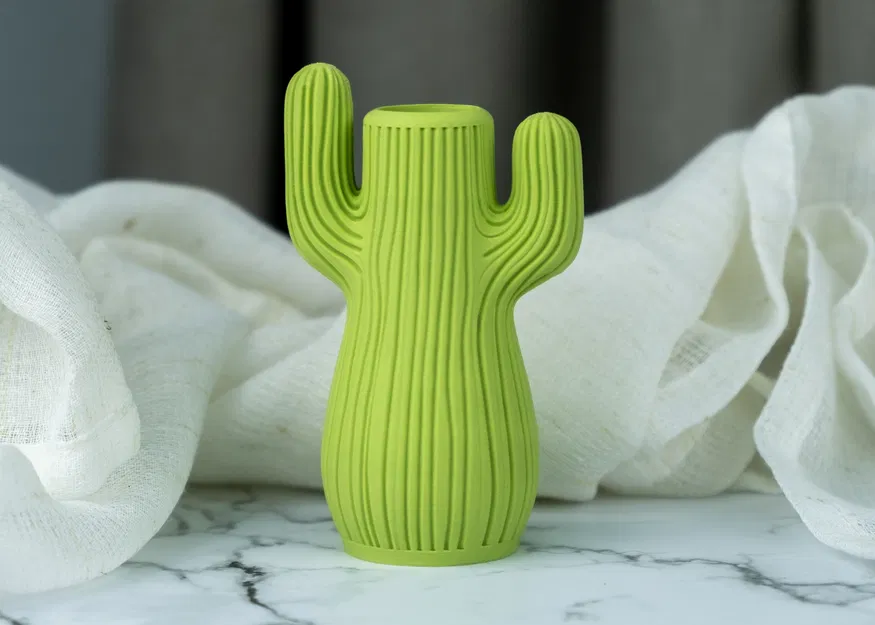 Bình Hoa Xương Rồng (Cactus Vase) - Image 2