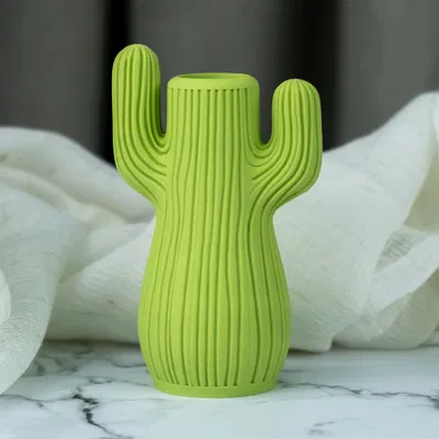 Bình Hoa Xương Rồng (Cactus Vase)
