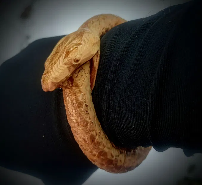 Ouroboros Mag-Bracelet – Vòng tay nam châm Ouroboros - Image 2