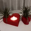 Trái tim Valentine kèm cây không khí (Air Plant) - Thumbnail 1