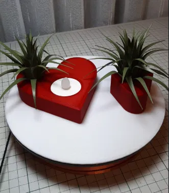 Trái tim Valentine kèm cây không khí (Air Plant) - Image 2